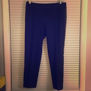 Ann Taylor Ankle Pants with Embellished Side Seams